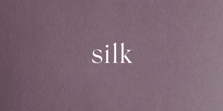 Example font Silk Serif #1